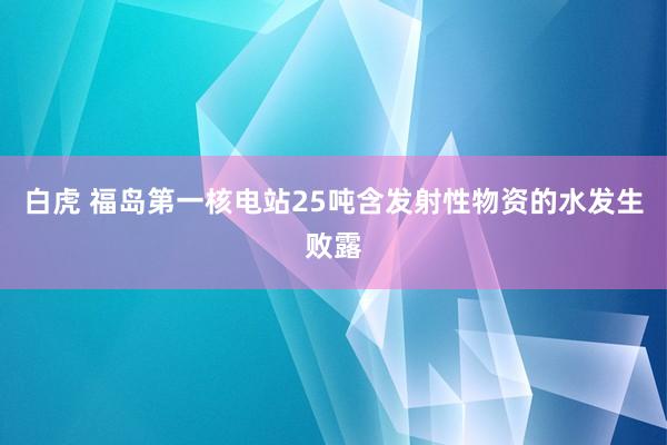 白虎 福岛第一核电站25吨含发射性物资的水发生败露