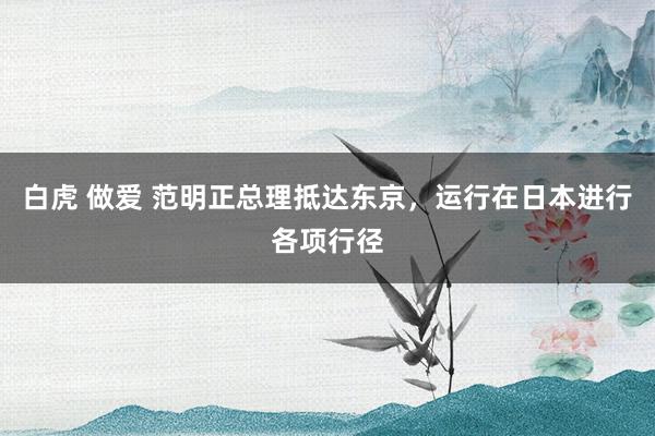 白虎 做爱 范明正总理抵达东京，运行在日本进行各项行径