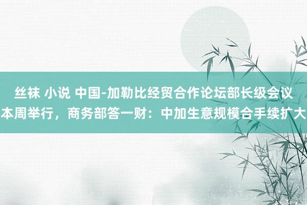 丝袜 小说 中国-加勒比经贸合作论坛部长级会议本周举行，商务部答一财：中加生意规模合手续扩大