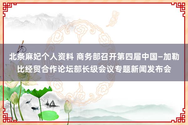 北条麻妃个人资料 商务部召开第四届中国—加勒比经贸合作论坛部长级会议专题新闻发布会