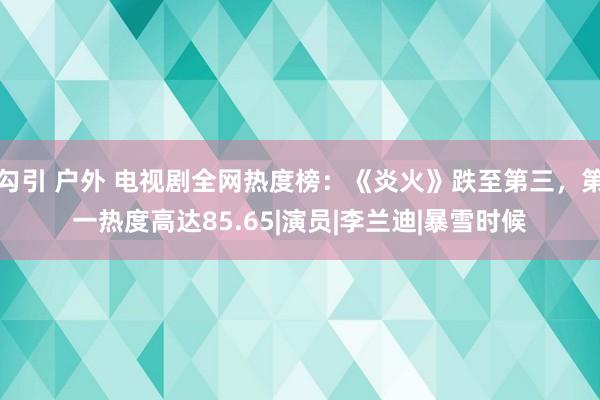 勾引 户外 电视剧全网热度榜：《炎火》跌至第三，第一热度高达85.65|演员|李兰迪|暴雪时候