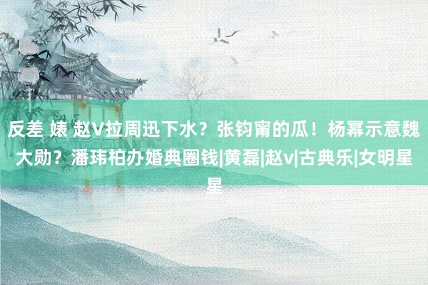 反差 婊 赵V拉周迅下水？张钧甯的瓜！杨幂示意魏大勋？潘玮柏办婚典圈钱|黄磊|赵v|古典乐|女明星