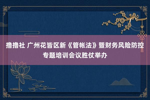 撸撸社 广州花皆区新《管帐法》暨财务风险防控专题培训会议胜仗举办