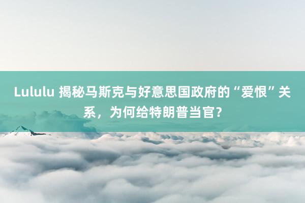 Lululu 揭秘马斯克与好意思国政府的“爱恨”关系，为何给特朗普当官？