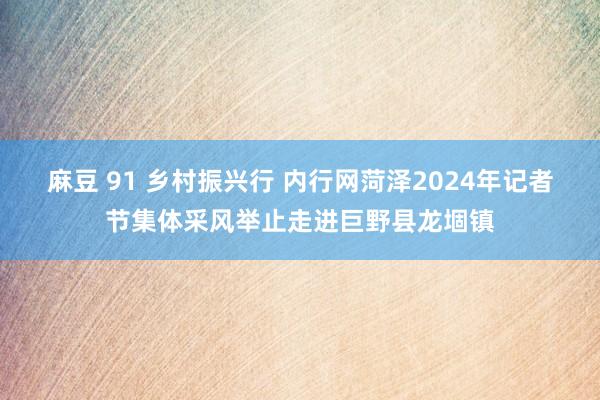 麻豆 91 乡村振兴行 内行网菏泽2024年记者节集体采风举止走进巨野县龙堌镇