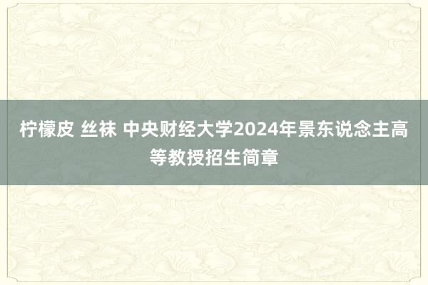 柠檬皮 丝袜 中央财经大学2024年景东说念主高等教授招生简章