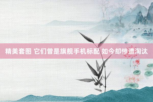 精美套图 它们曾是旗舰手机标配 如今却惨遭淘汰