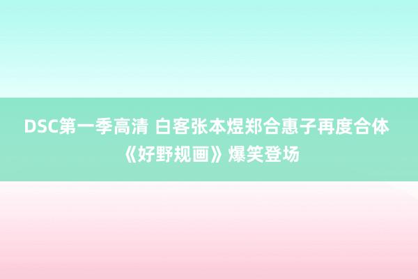 DSC第一季高清 白客张本煜郑合惠子再度合体 《好野规画》爆笑登场